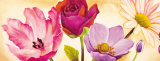 Danse de Fleurs I Posters by Pierre Viollet