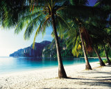Tonsai Beach, Phi Phi Islands, Thailand Posters by Josef Beck