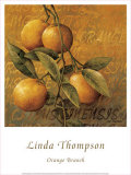 Orange Branch Prints by Linda Thompson