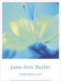 Impression Lily Láminas por Jane Ann Butler