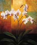 Orchidées Affiche par Jill Deveraux
