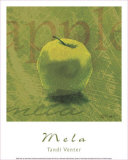 Mela Posters par Tandi Venter