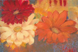 Fiesta Summer I Prints by Pamela Luer
