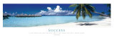 Success Posters
