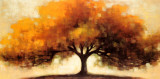 Transition Prints by Connie Geerts