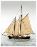 Mystic Journey II Lámina por Frederick J. LeBlanc Mystic Journey II Lámina por Frederick J. LeBlanc