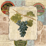 Wine Grapes I Prints by Gillian Fullard