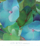 Hydrangeas Art by Leni Betes