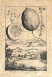 Lemon of Cedrato Posters by Johann Christof Volckamer