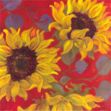 Sunflower II Láminas por Shari White