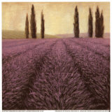 Lavender Horizon Detail Print by James Wiens