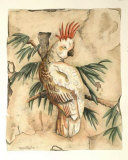 Cockatoo Fresco II Posters by Meagher 