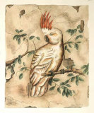 Cockatoo Fresco I Art by Meagher 
