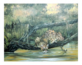 Watering Hole Impressão giclée por Evelyn L Peterson