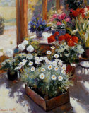 Flower Pots Art by Edward Noott