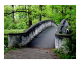 A Bridge in the Park Photographic Print by Stasys Eidiejus