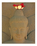 Boddhi Buddha Photographic Print by ziva santop