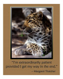 Patience Photographic Print by Scott Kuehn