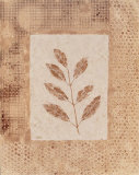 Autumn Texture II Affiche par Katrina Craven