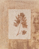 Autumn Texture I Prints by Katrina Craven