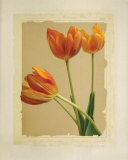 Tangerine Tulips II Posters by Linda Maron