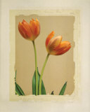 Tangerine Tulips I Art by Linda Maron