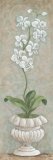 Lavish Orchids I Print by Angela Ferrante