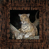 Leopardo Pósters por Ruane Manning