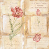 Tulip Sonata II Affiche par Gillian Fullard