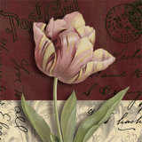Postcard Tulip Affiches par Kelly Donovan