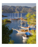 Gulets Boats on the Turquoise Coast of Turkey Photographic Print by David Smith