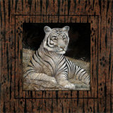 Tigre blanco Láminas por Ruane Manning