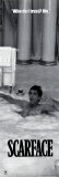 Scarface Photo
