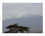 Mt. Kilimanjaro Photographic Print by Bonnie F. May