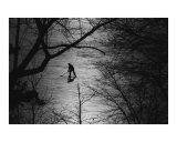 Hockey Player Photographie par Andrew Fare