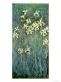 The Yellow Irises reproduction procédé giclée par Claude Monet