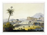 Sugar Plantation, Antilles Giclee Print by Paolo Fumagalli