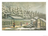 Forcing Garden in Winter Giclée-Druck von Humphry Repton