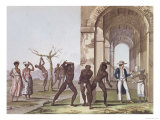 Plantation in Surinam, Illustration from Plantation in Surinam, Illustration from