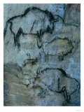 Injured Bison, Rock Painting, Prehistoric Giclee Print