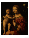 A Virgem e Criança Impressão giclée por Bernardino Luini