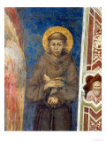 St. Francis Impressão giclée por Cimabue