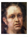 Self Portrait at the Age of 69, circa 1815 Giclee Print by Francisco de Goya