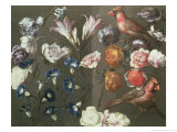 A Study of Peonies, Convolvulus, Lilies and Two Finches Giclee Print by Gaspar Peeter The Elder Verbruggen