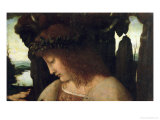 Narcissus at the Fountain Wydruk giclee autor Giovanni Antonio Boltraffio Narcissus at the Fountain Wydruk giclee autor Giovanni Antonio Boltraffio