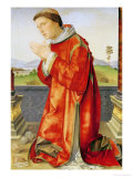 Saint Stephen Wydruk giclee autor Francesco Francia Saint Stephen Wydruk giclee autor Francesco Francia