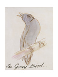 The Gray Bird, from "Sixteen Drawings of Comic Birds" Giclee Print by Edward Lear