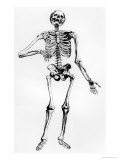 Human Skeleton reproduction procédé giclée par Andreas Vesalius