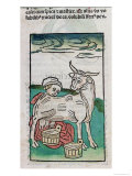 Illustration of a Maid Milking a Cow Giclee Print
