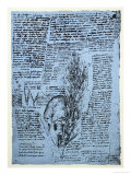The Heart and the Bronchial Arteries, Facsimile of the Windsor Book Lámina giclée por Leonardo da Vinci The Heart and the Bronchial Arteries, Facsimile of the Windsor Book Lámina giclée por Leonardo da Vinci